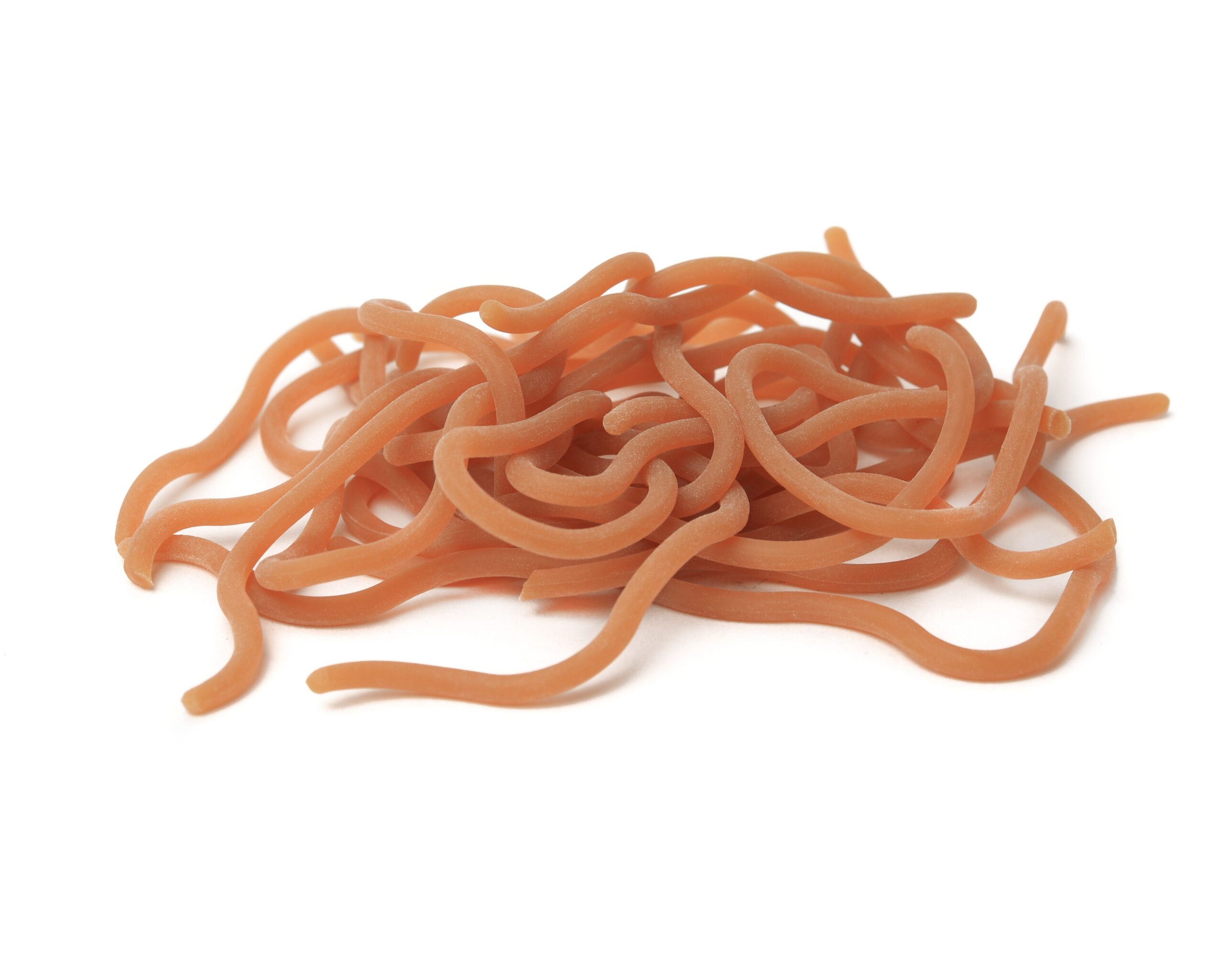 HARELINE CASTER´S SQUIRMITO WORM - 6