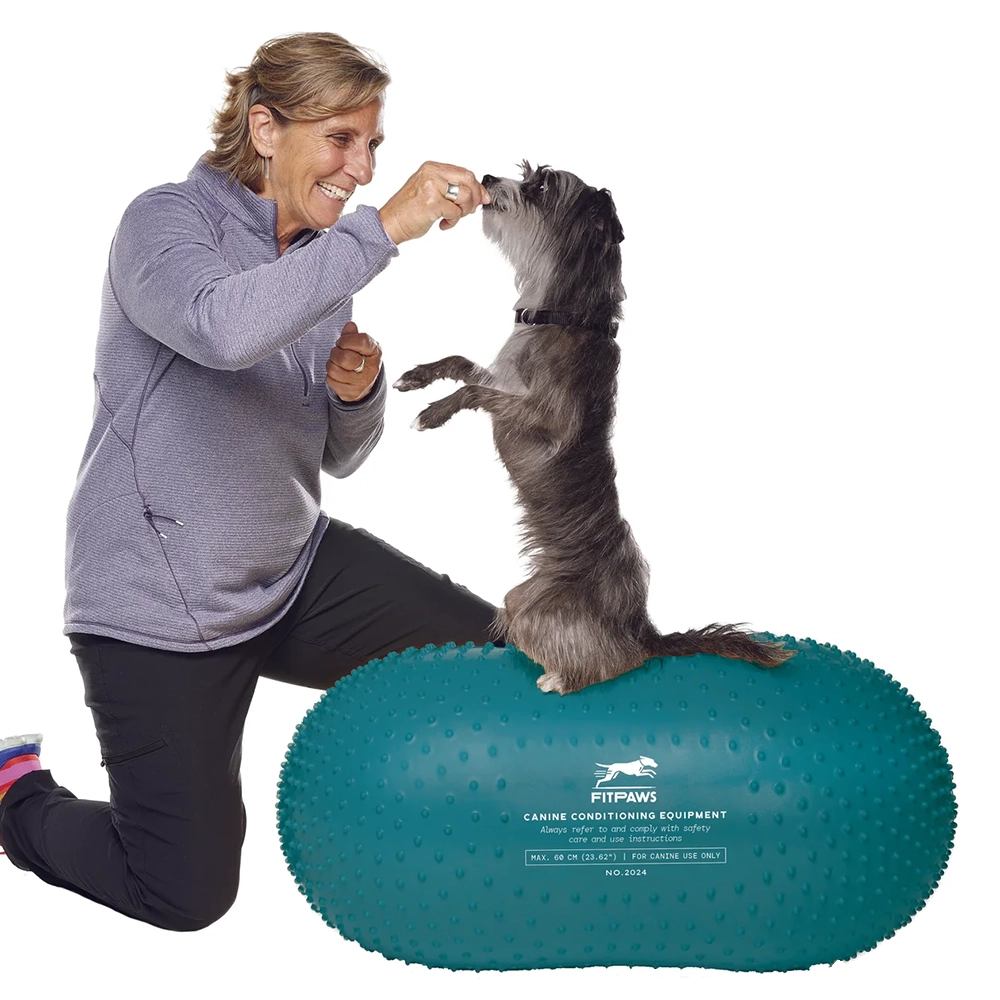 Stora balansboll till hundträning fitpaws peanut