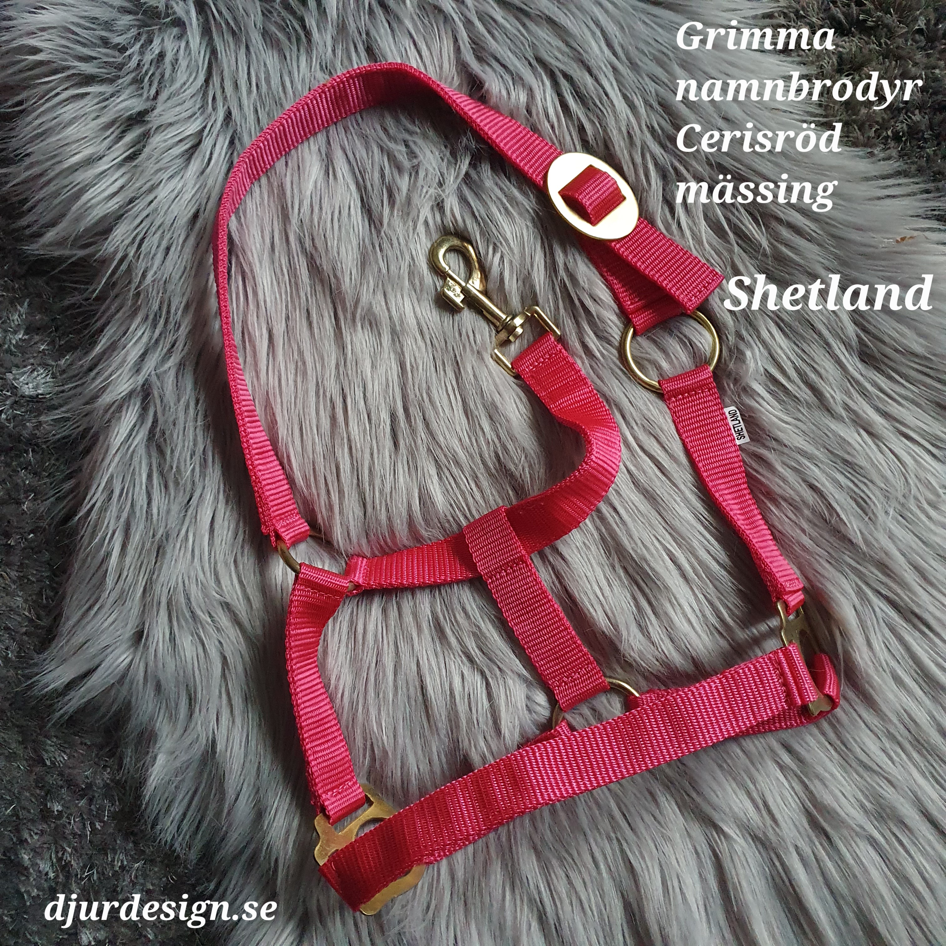 SHETLAND Ceris mässing grimma  med namn brodyr A-B 40 cm C-D 27 cm