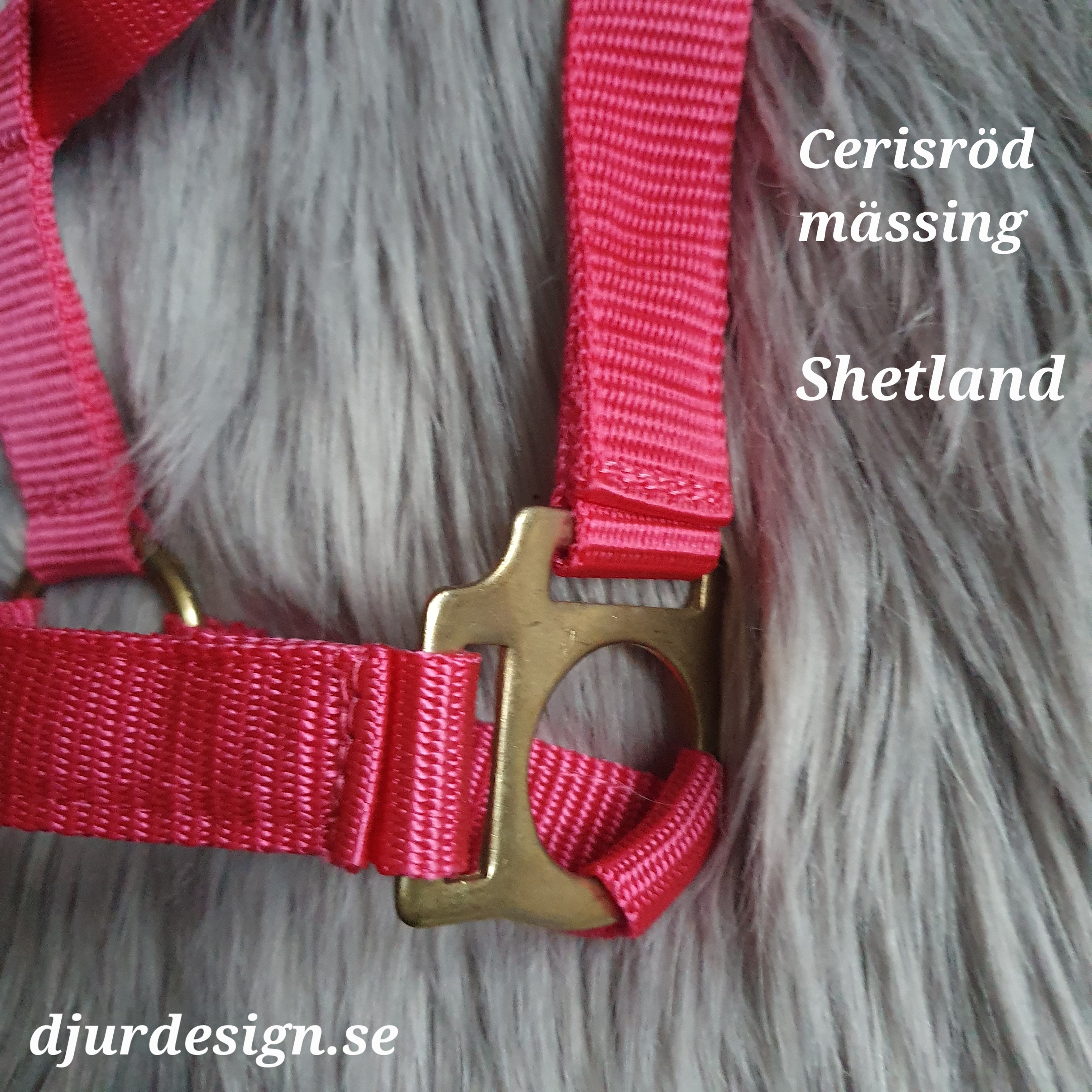 SHETLAND Ceris mässing grimma  med namn brodyr A-B 40 cm C-D 27 cm - 6