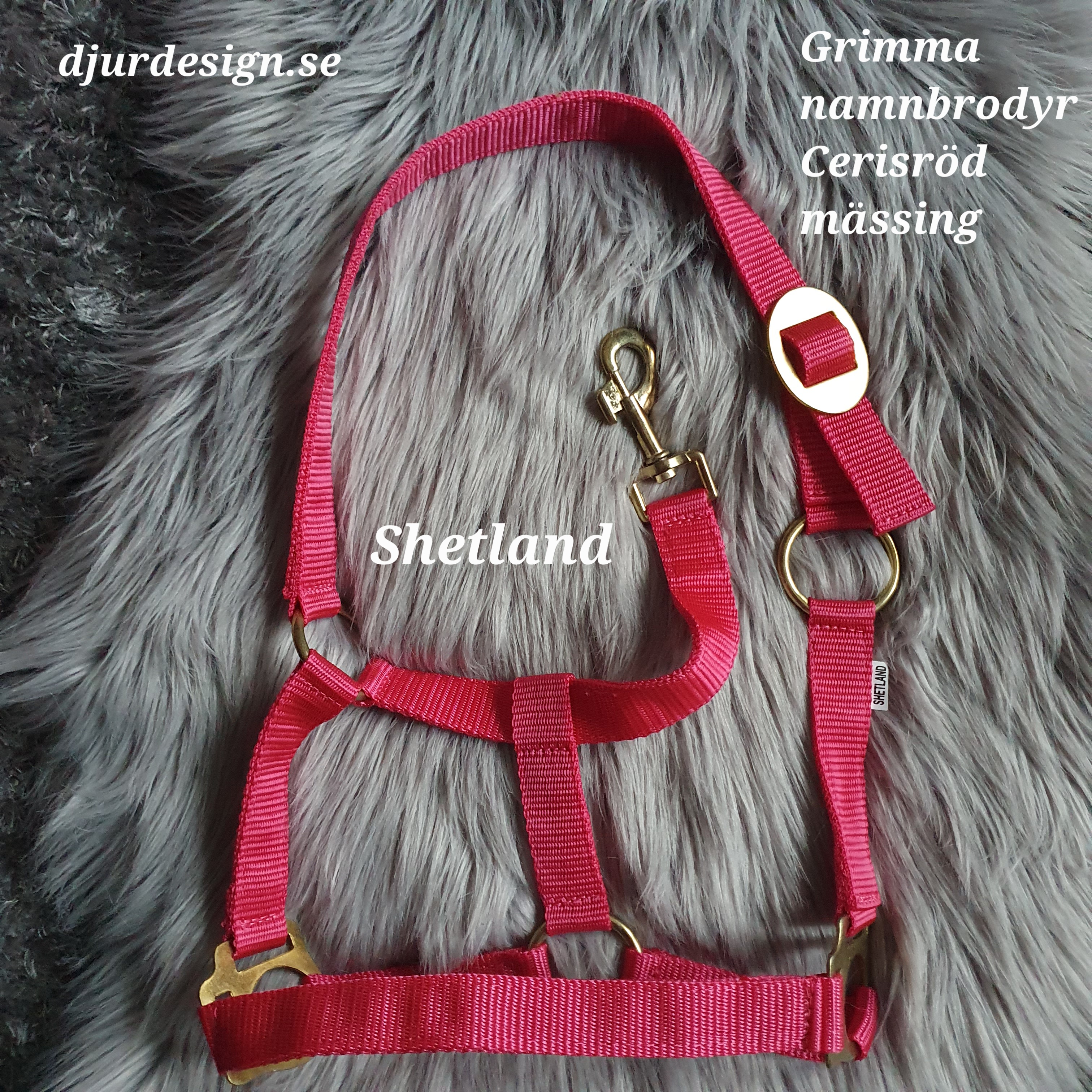 SHETLAND Ceris mässing grimma  med namn brodyr A-B 40 cm C-D 27 cm - 8