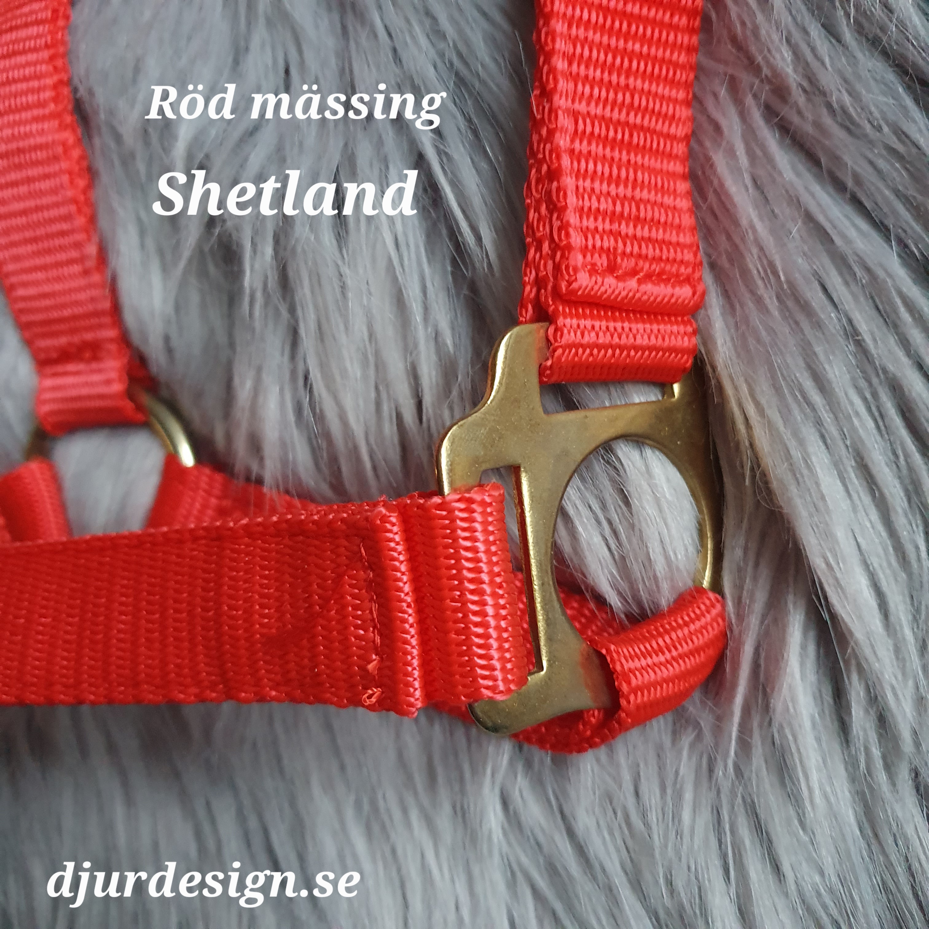 SHETLAND Röd mässing grimma med namn brodyr A-B 40 cm C-D 27 cm - 5
