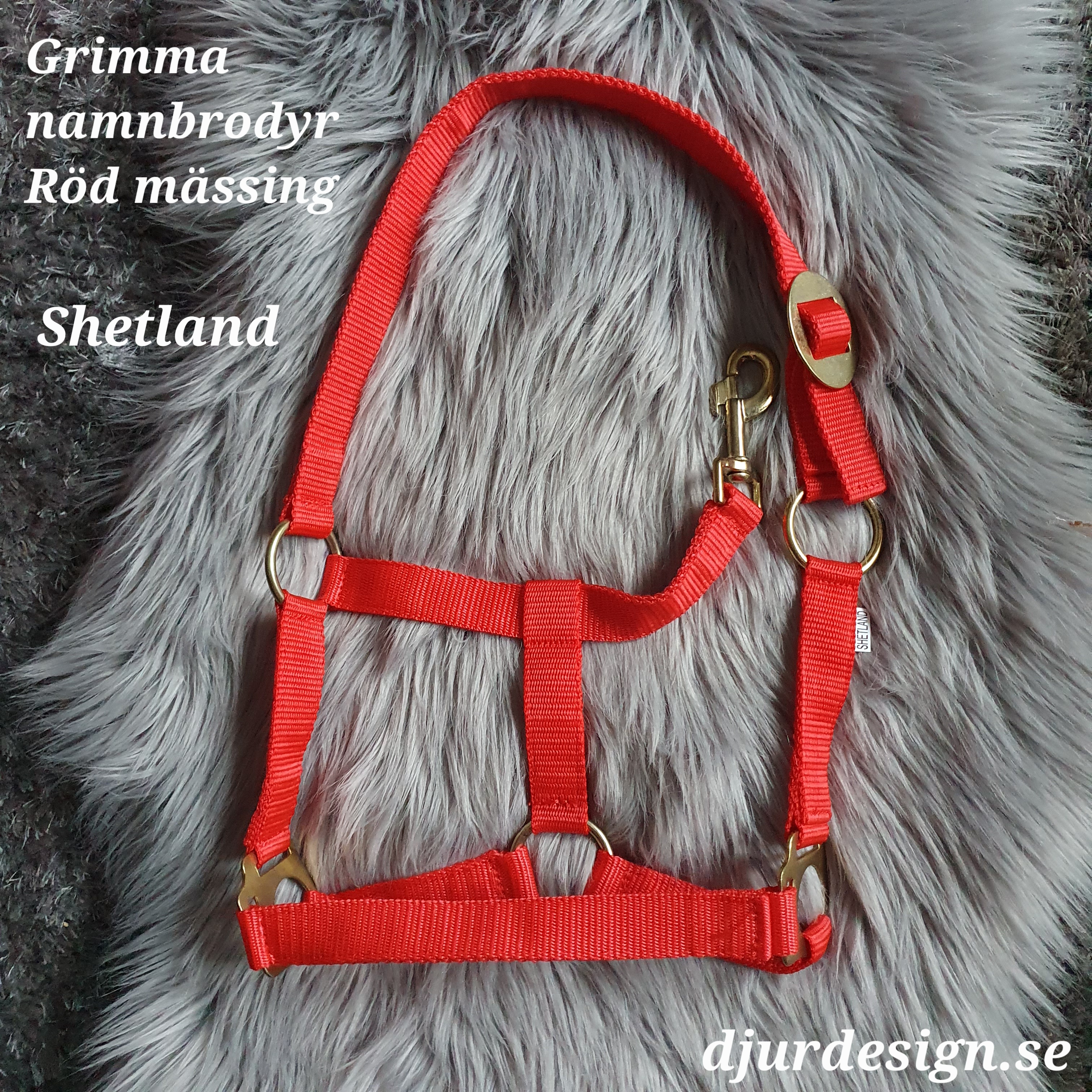 SHETLAND Röd mässing grimma med namn brodyr A-B 40 cm C-D 27 cm - 7