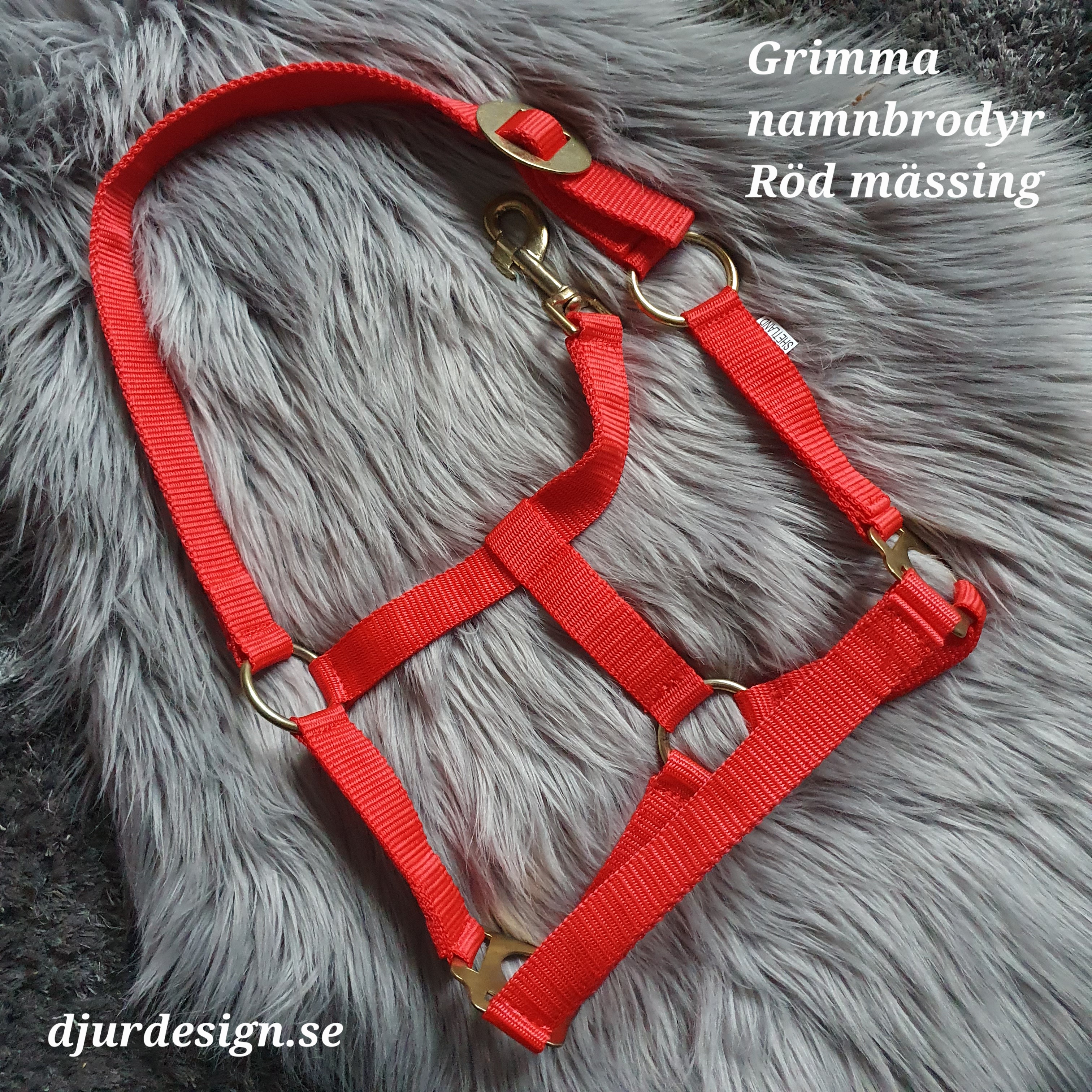 SHETLAND Röd mässing grimma med namn brodyr A-B 40 cm C-D 27 cm