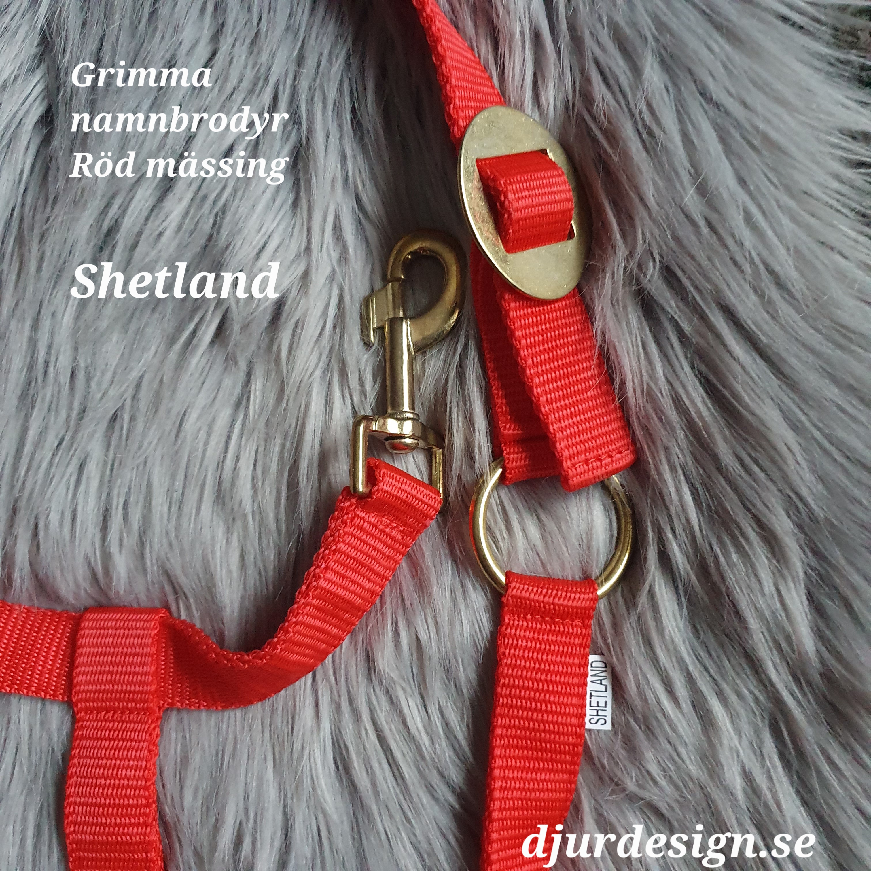 SHETLAND Röd mässing grimma med namn brodyr A-B 40 cm C-D 27 cm - 6
