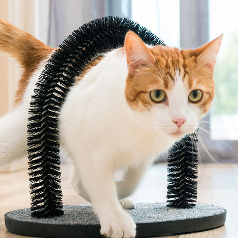 Kattbågen - Pälsvård och kattmassage - 2