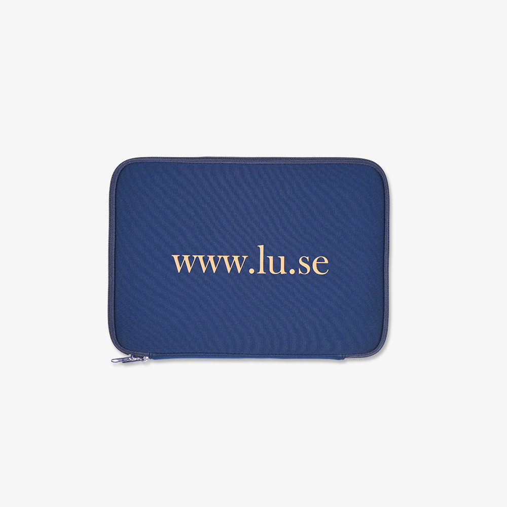Laptop case - 2