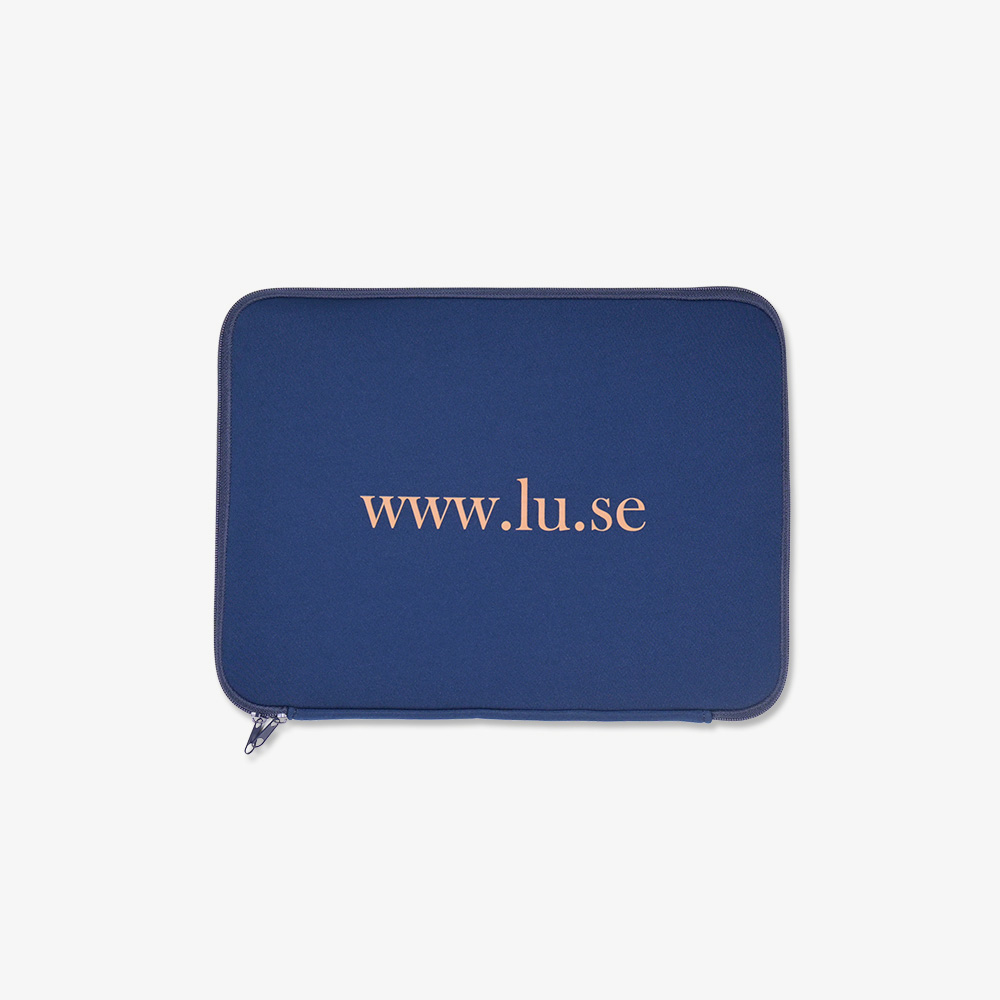 Laptop case - 4