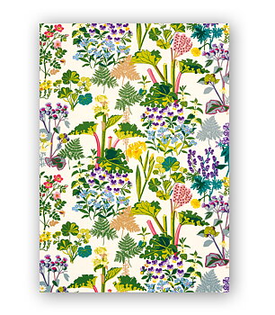 Rabarber on white, Gocken Jobs, Greeting Card