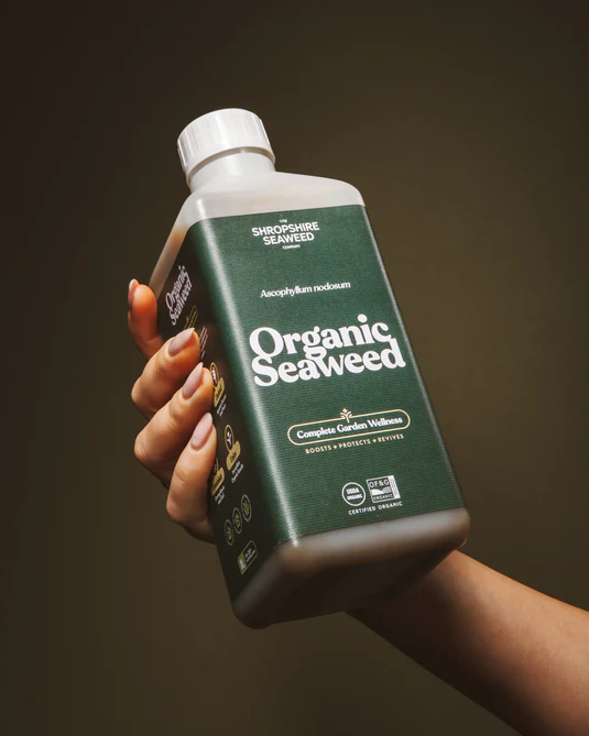 1L Shropshire Seaweed Growth Enhancer Bladgödning 1 liter, Organisk - 2