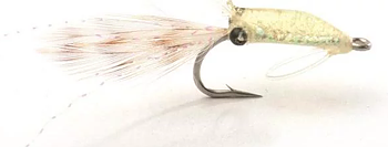Guideline Imitator Shrimp
