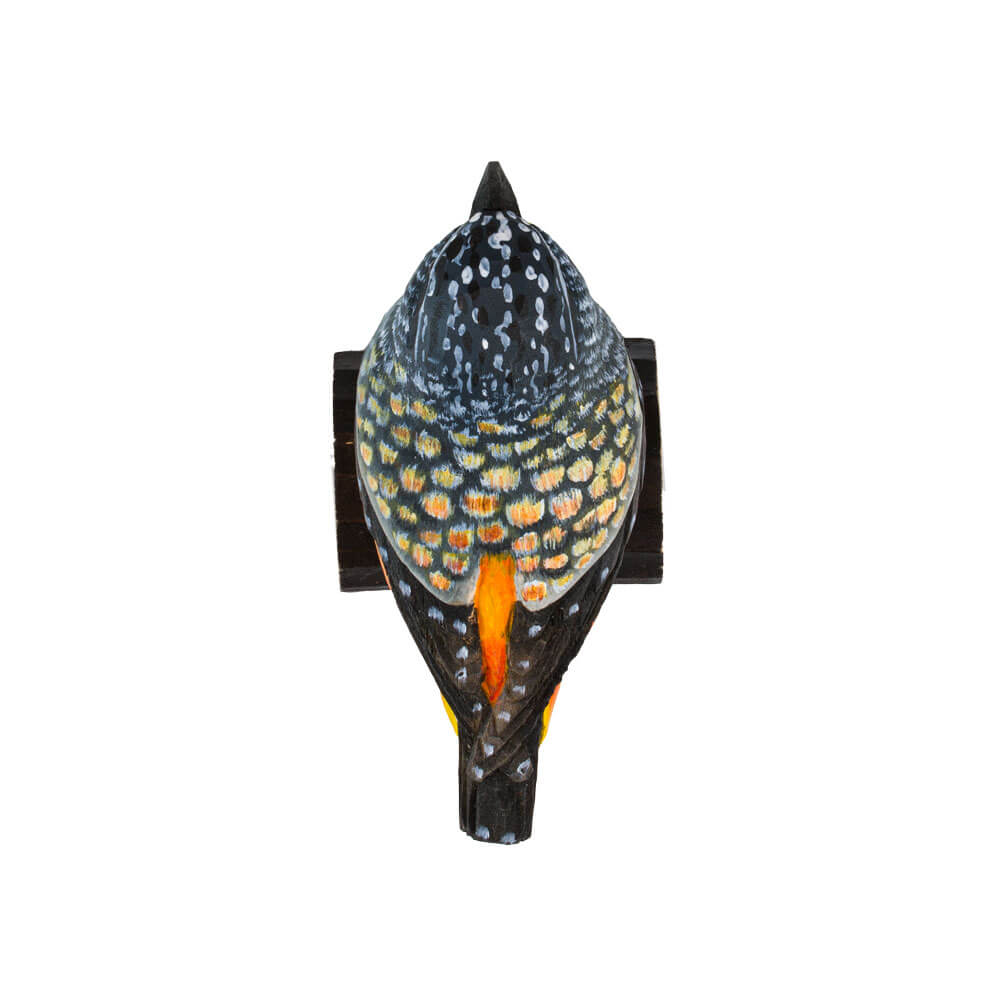 DecoBird Pardalote Pointillé - 6