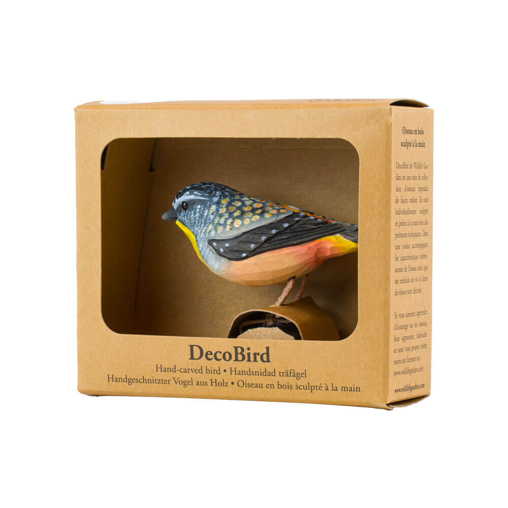 DecoBird Pardalote Pointillé - 3