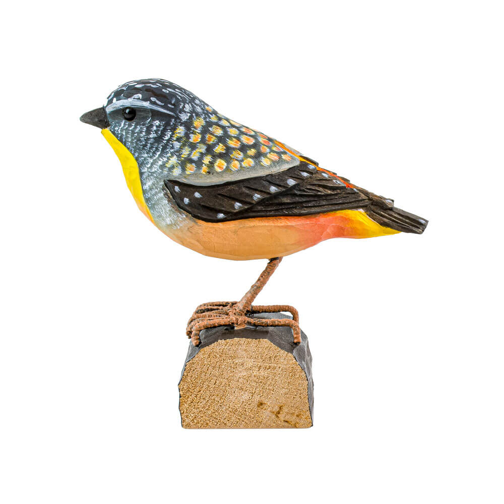 DecoBird Pardalote Pointillé - 4