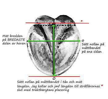 Hur du mäter hovarna