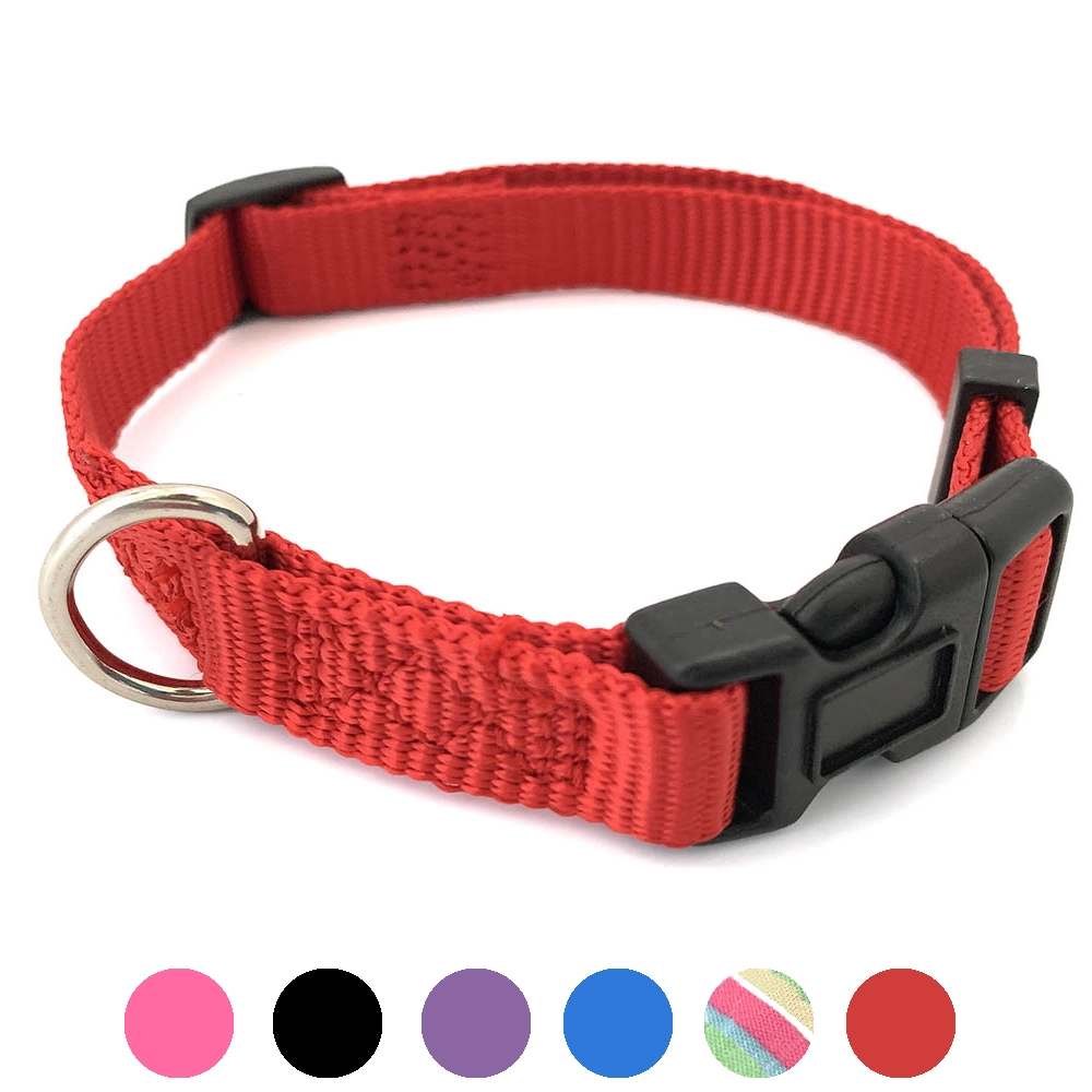 Halsband till hund valp kattunge kanin