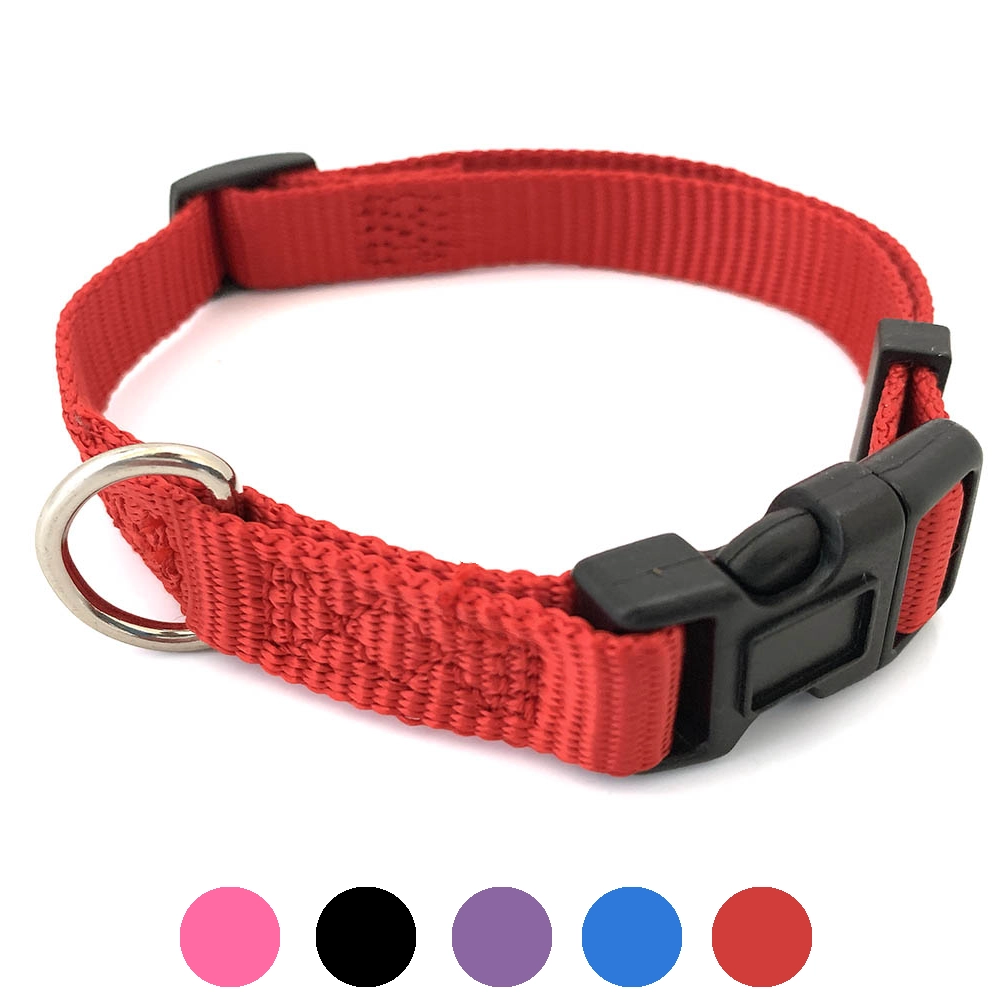 Collar for dog puppy kitten rabbit