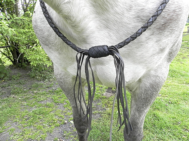 440. Cordeo - Braided Leather - 4