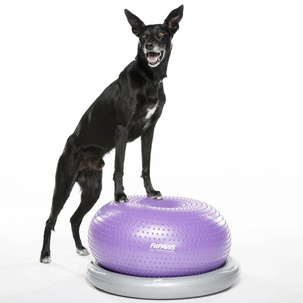 FitPAWS Trax Donut - 4