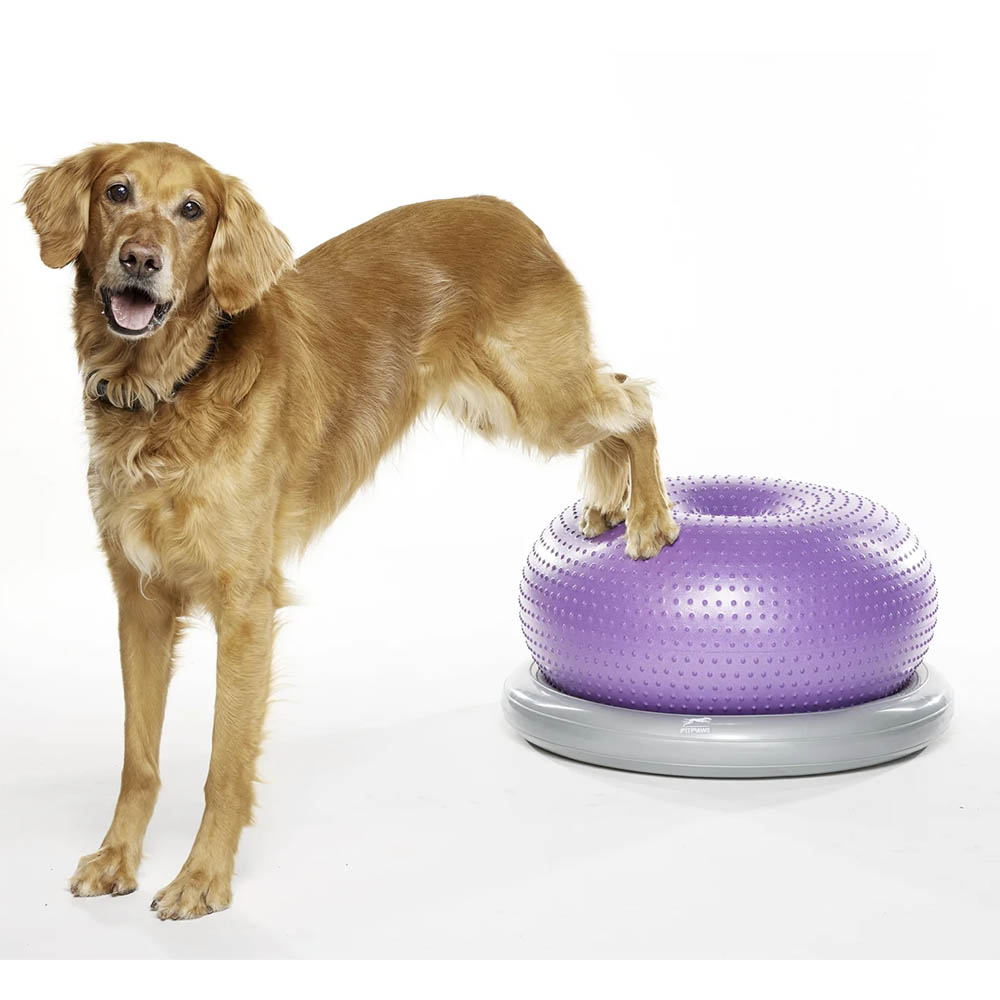 FitPAWS Trax Donut - 3