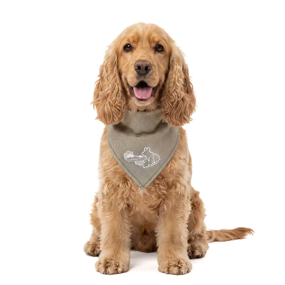 Coolpets Kylduk som svalkar din hund 