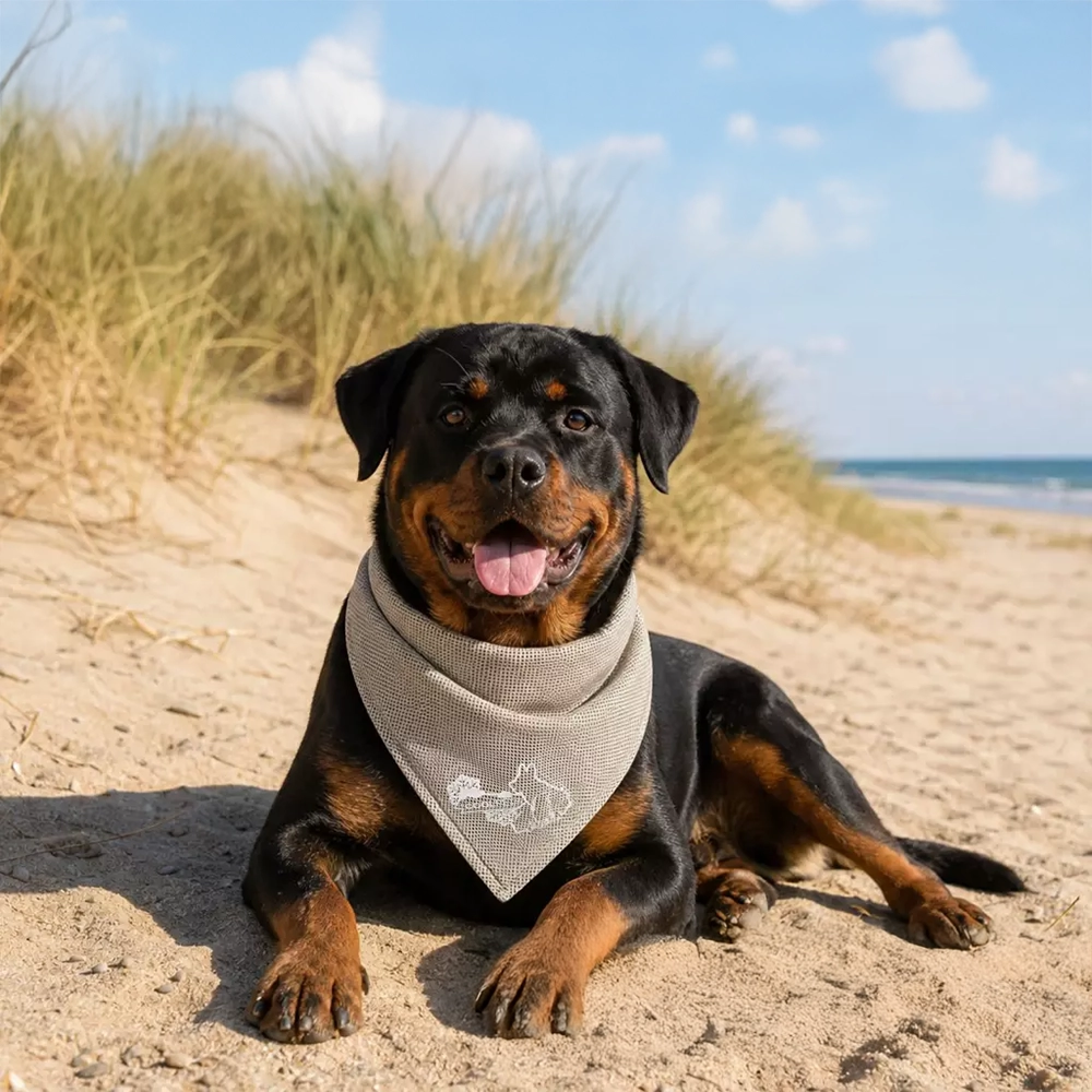 Cooling bandana till hunden Coolpets kylduk