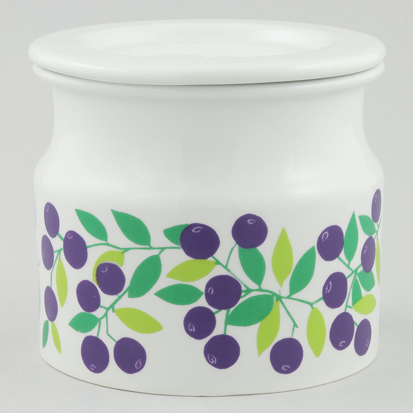 ライヤ・ウオシッキネン Pomonaシリーズ 蓋付き容器 (ブルーベリー