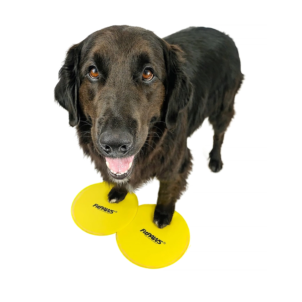 FitPAWS target 4-pack