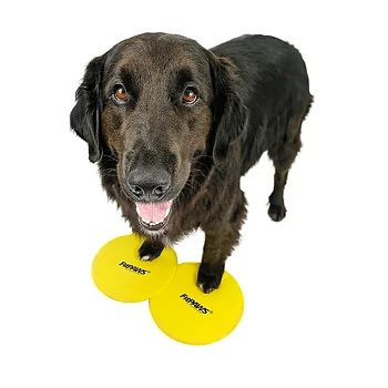 FitPAWS target 4 pcs