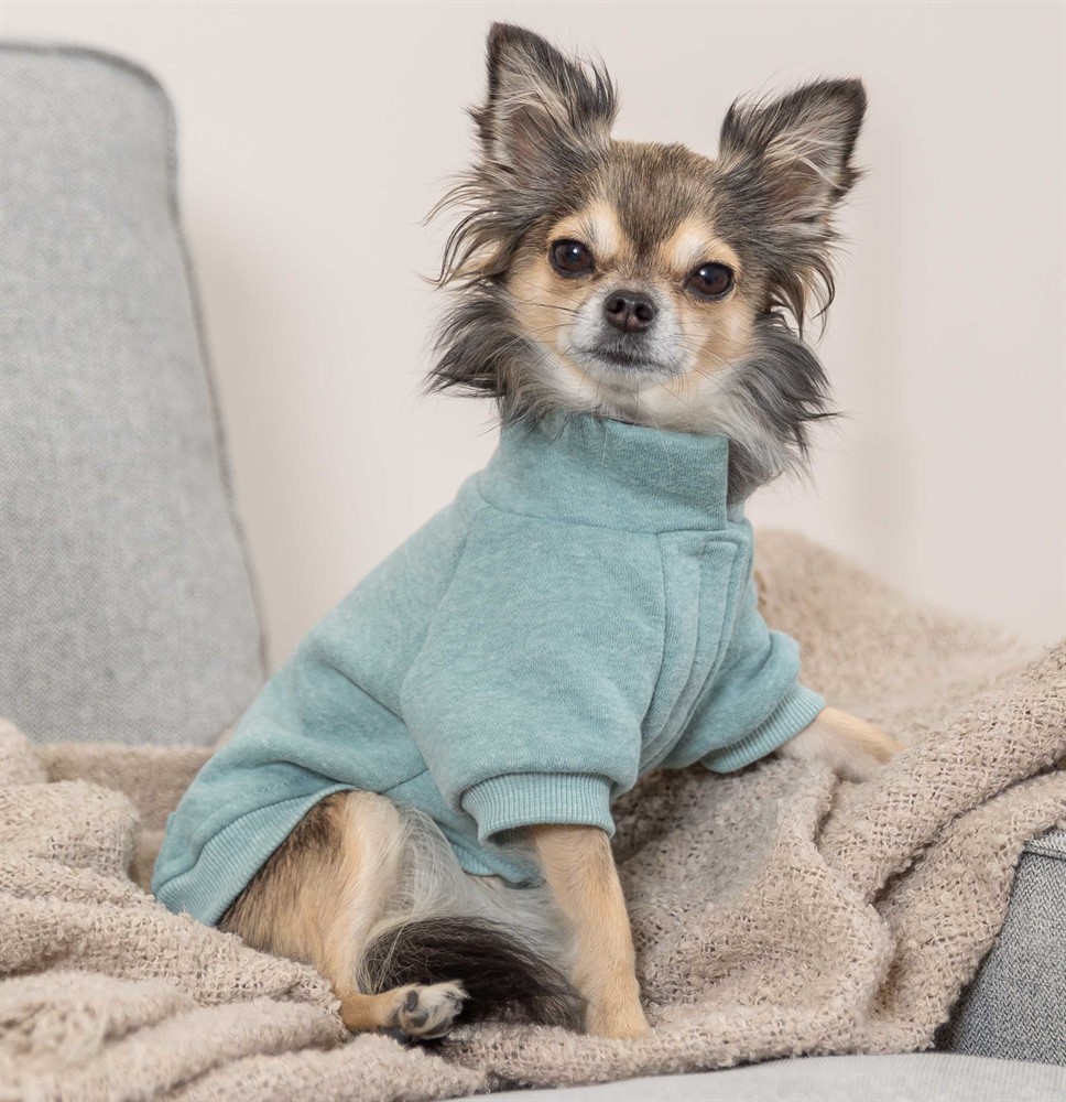 Trixie Sweatshirt Littleton Mint X-Small 27cm - 7
