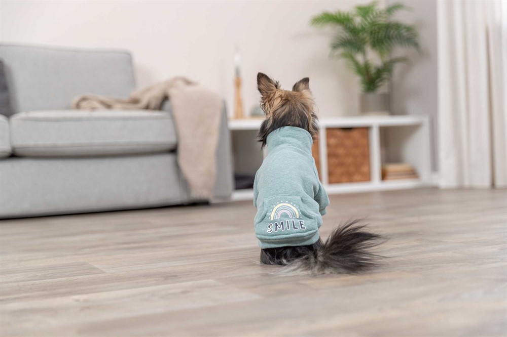 Trixie Sweatshirt Littleton Mint X-Small 27cm - 3