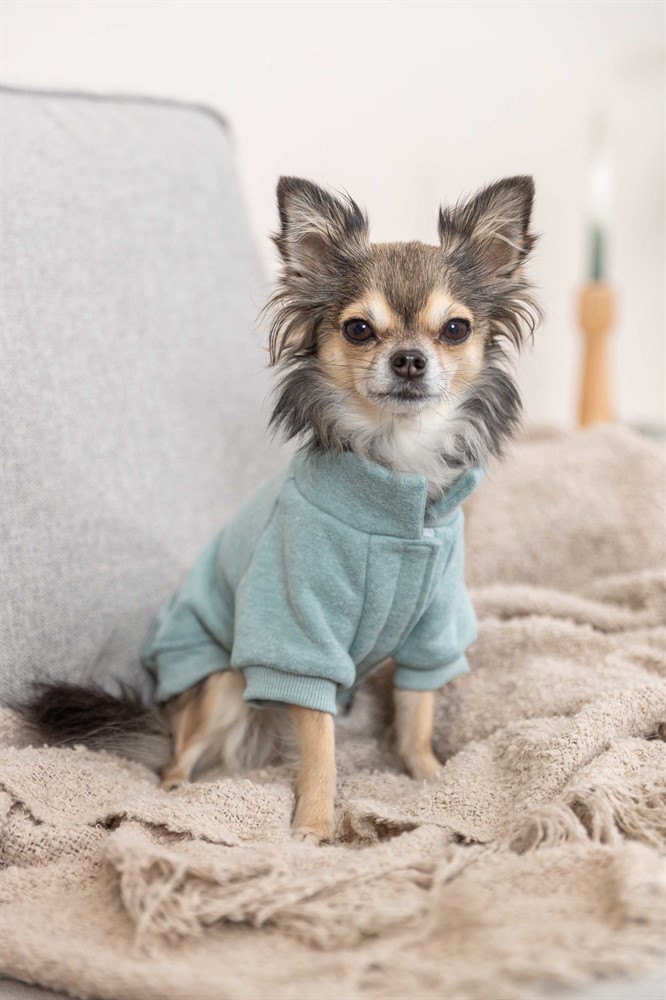 Trixie Sweatshirt Littleton Mint X-Small 27cm - 5