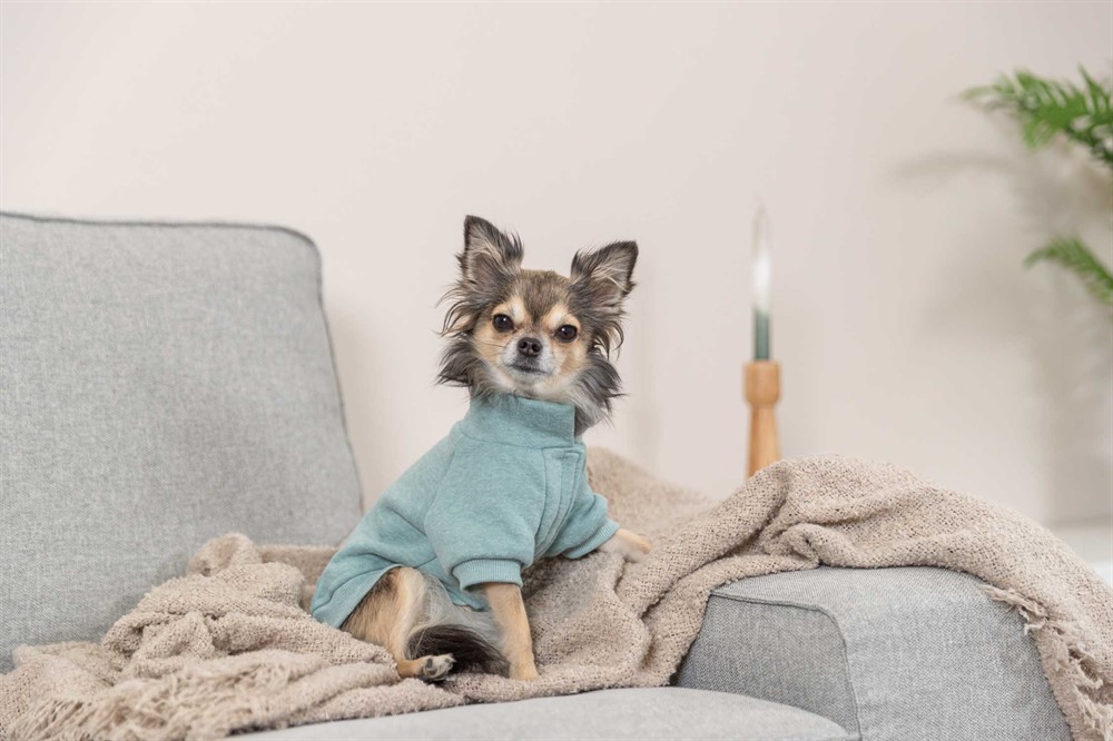Trixie Sweatshirt Littleton Mint X-Small 27cm - 2