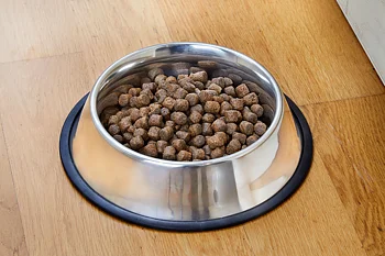 Dogman Food Bowl With Non-Slip Edge Skål 900ml  