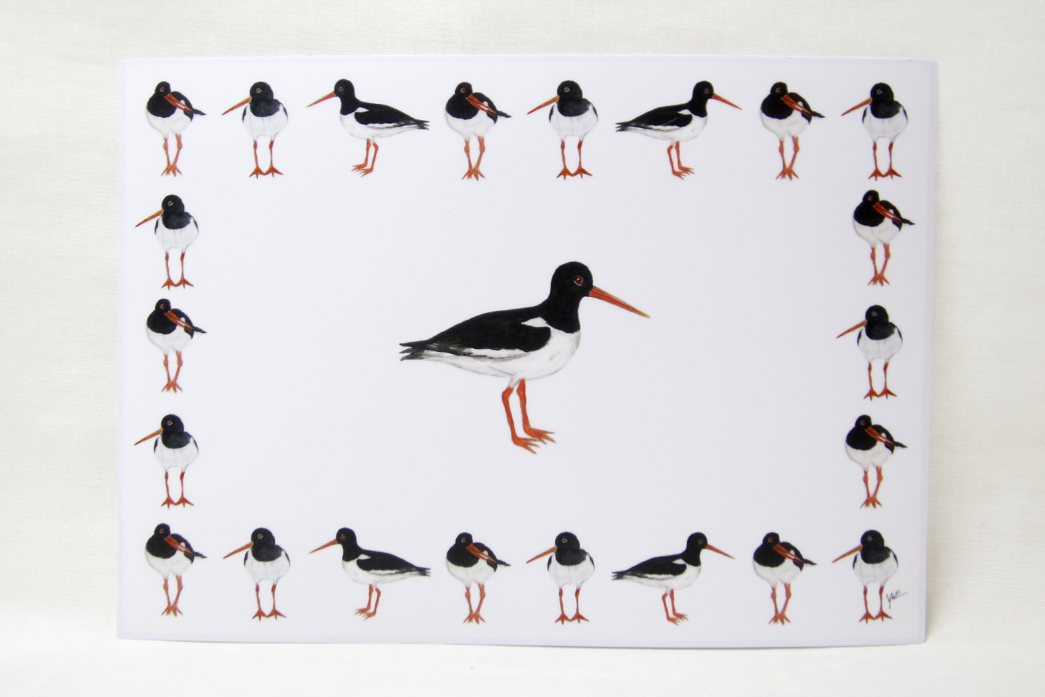 Placemat Eurasian Oystercatcher 30x43 cm
