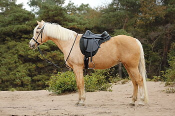 Barefoot® Merlyn Dressage (dressyr med korta kåpor)
