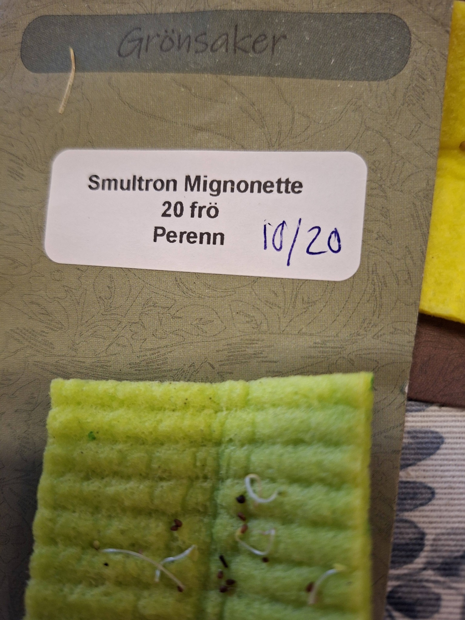 Smultron Mignonette 20 frön - 3