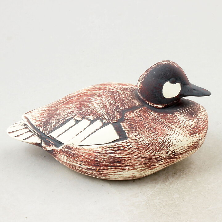 Paul Hoff (Archipelago 1990s) Gorgeous Goldeneye (Female)