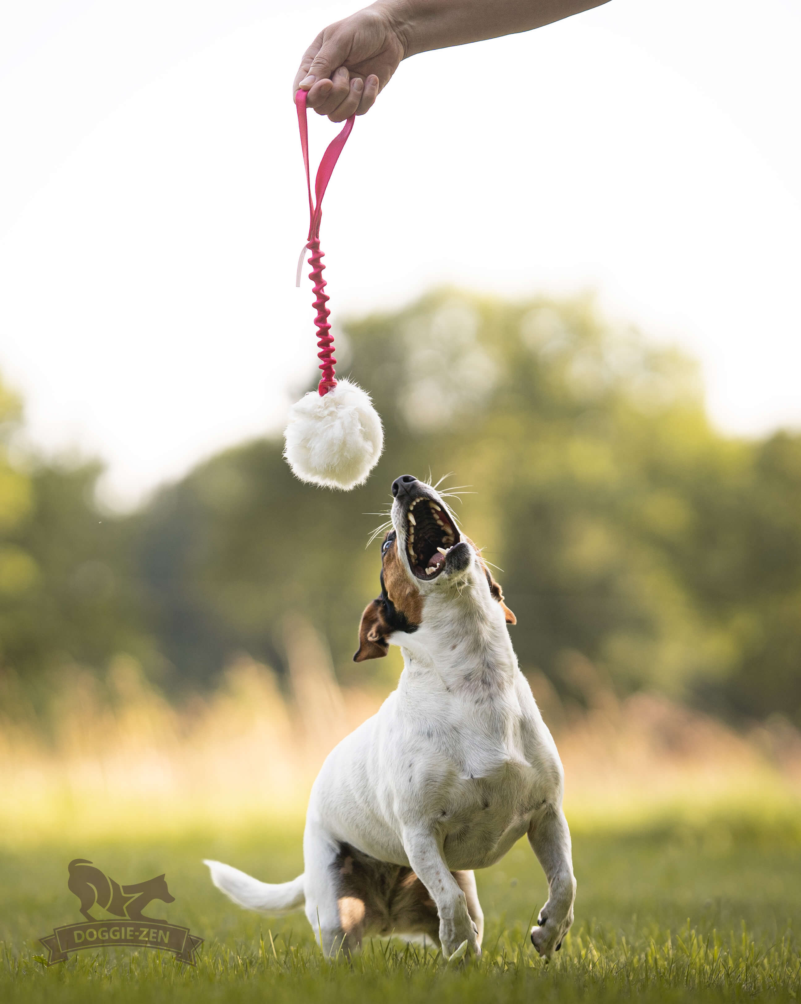 Bungee Rabbit Ball Tug S - 3