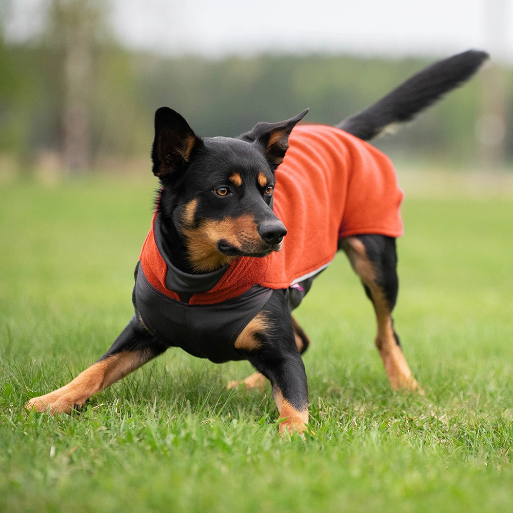 Pomppa jumppa hundtäcke i orange fleecetäcke till hund Jumppapomppa