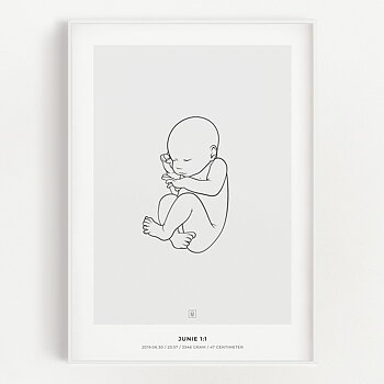 Junie 1:1 scale birth poster