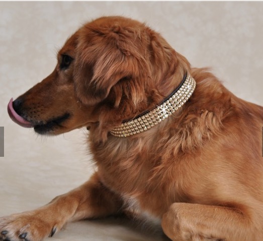 DIAMONDS DOG 4 ROW LARGE CRYSTAL COLLAR GSH ON&nbsp;BROWN - 3