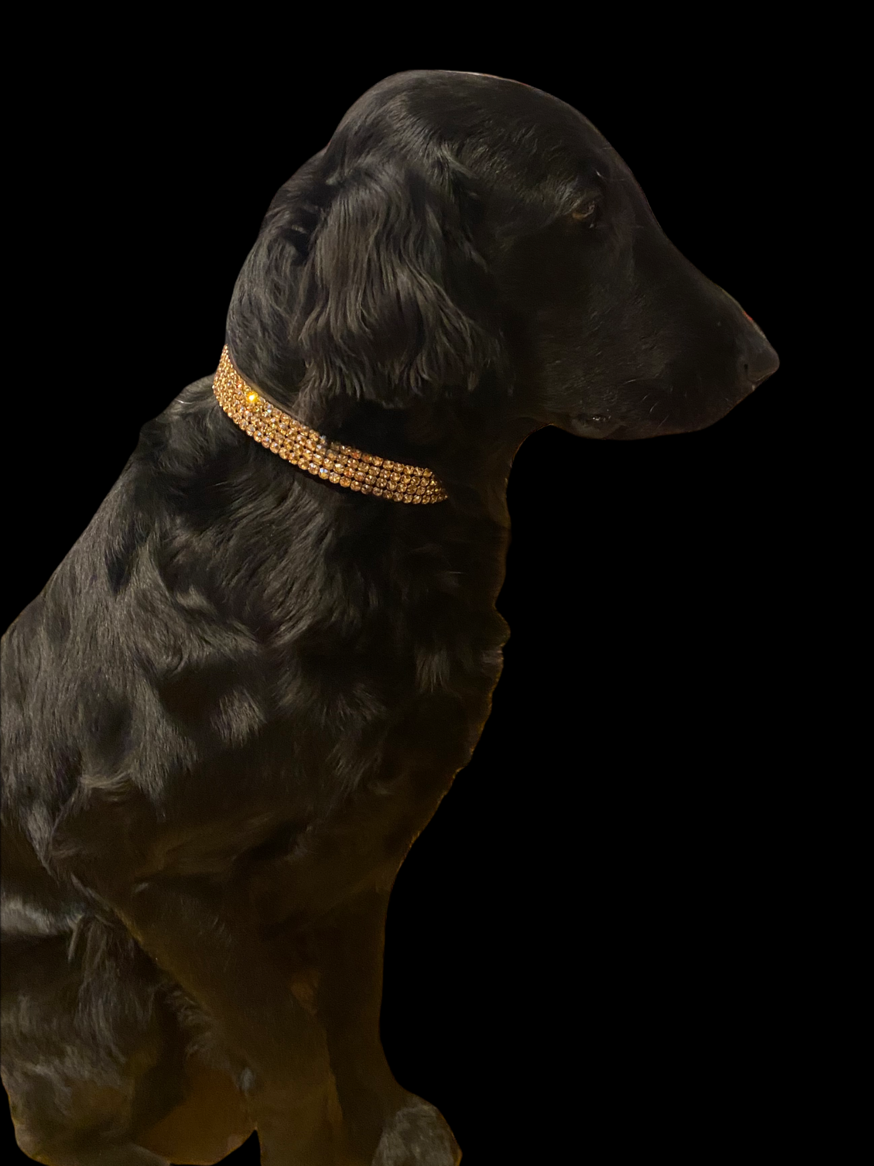 DIAMONDS DOG 4 ROW LARGE CRYSTAL COLLAR GSH ON&nbsp;BROWN - 2