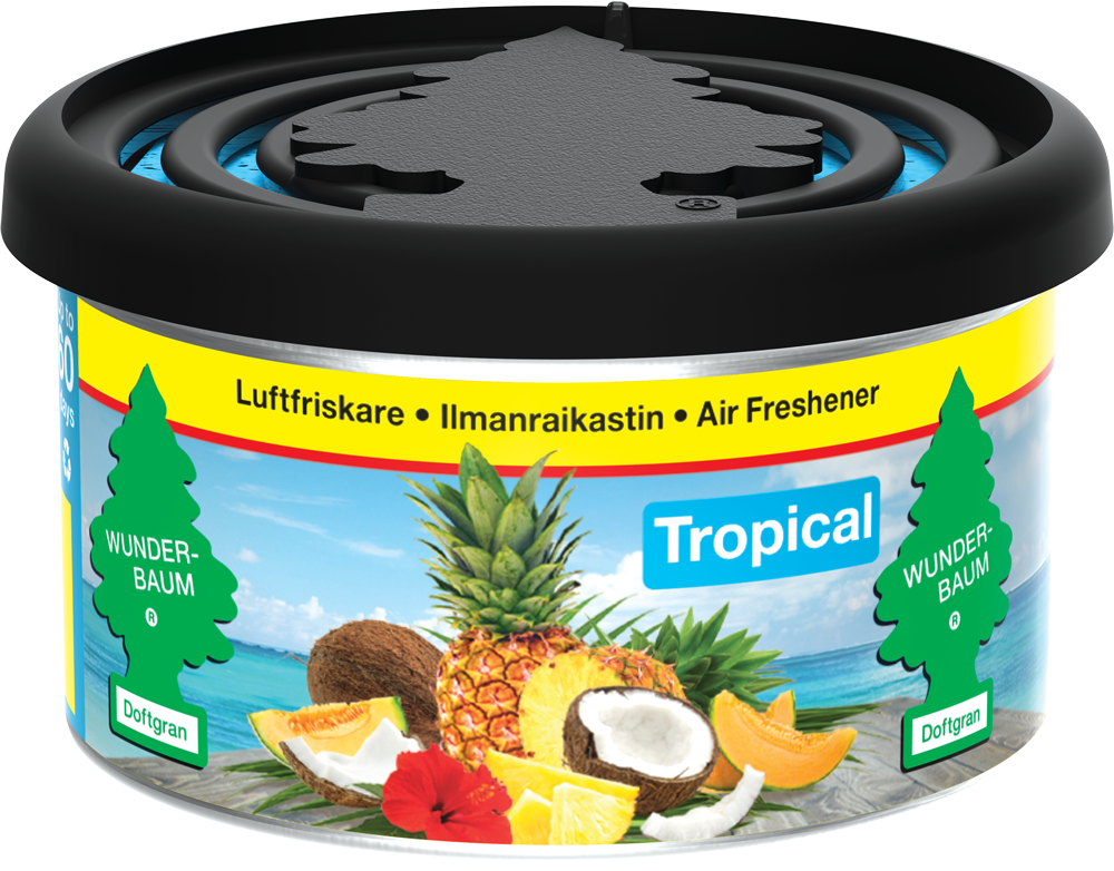 WUNDER-BAUM - FIBER CAN, TROPICAL