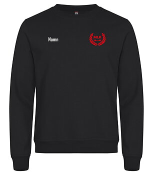 Sweatshirt Malmö Lyftarklubb