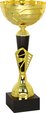 Pokal Århus - 2