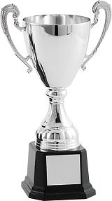 Pokal Bogota Silver