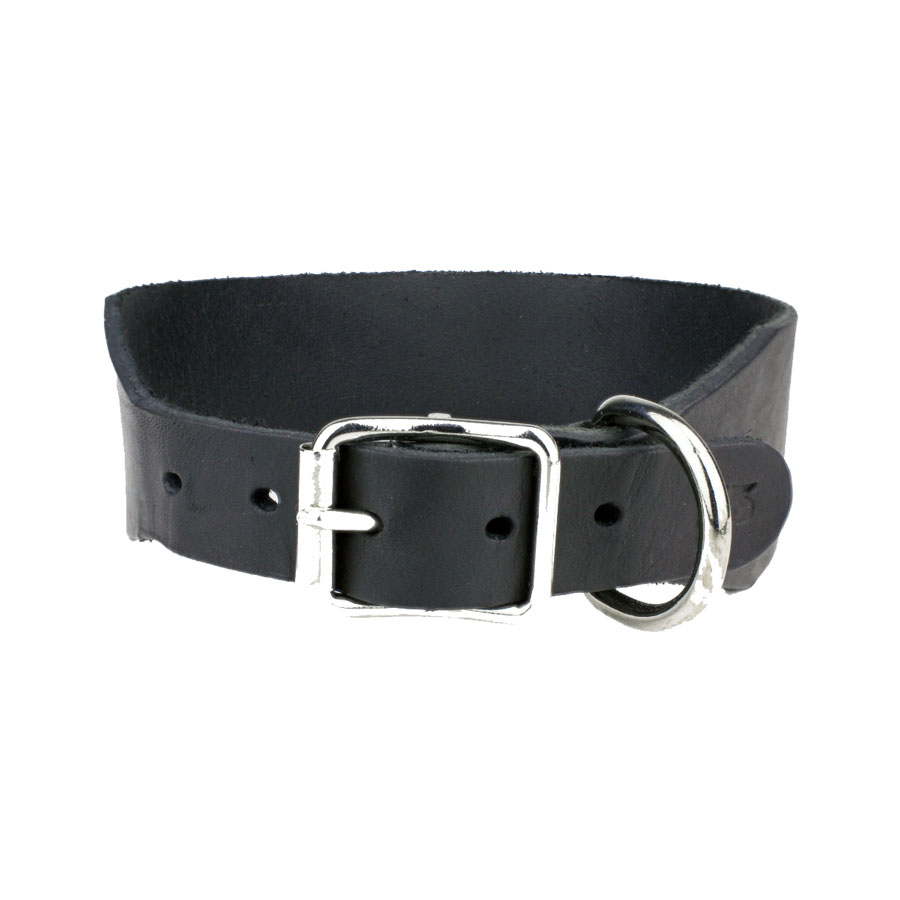 Spårhalsband Läder 50mm - 4