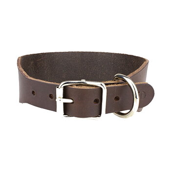 Spårhalsband Läder 50mm