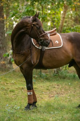 Jacson Allroundschabrak Full Seattle Brun - 3